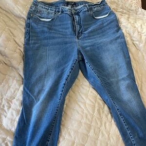 Judy Blue Dark Blue Skinny Jeans